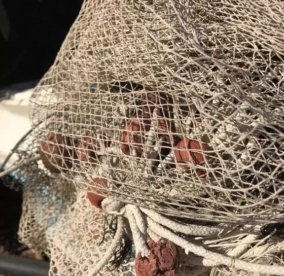 ペンション 40° Parallelo Guest House