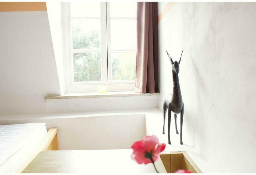 호스텔 Sülfmeister Haus