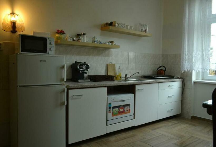 Apartments Vintag Teplice