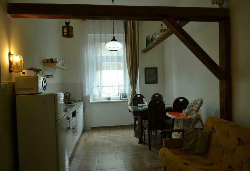 Apartments Vintag Teplice