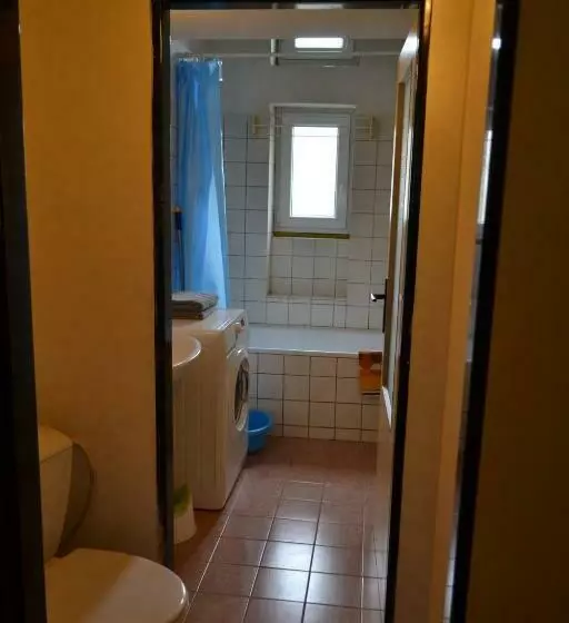Apartments  Vintag  Teplice