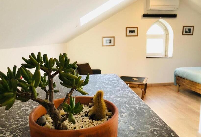 تختخواب و صبحانه Boreal Porto Gaia Patio & Pool