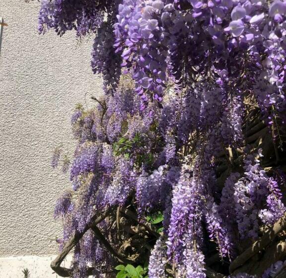 مبيت وإفطار Maison Latour