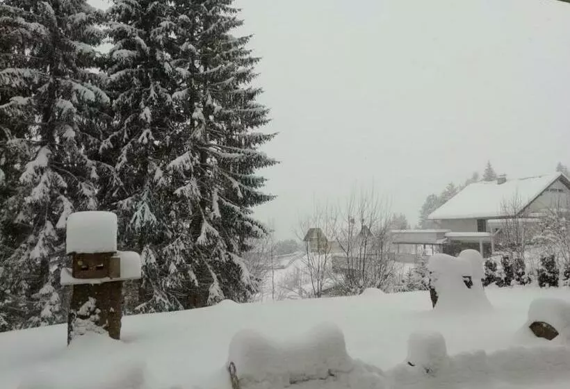 Aamiaismajoitus (B&B) Tannenhof