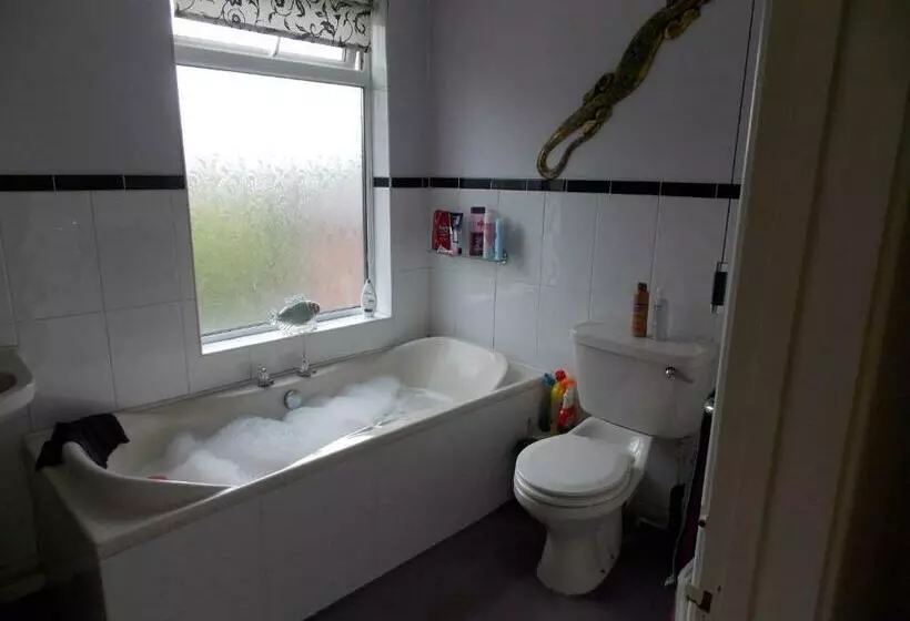 Aamiaismajoitus (B&B) Victorian Townhouse