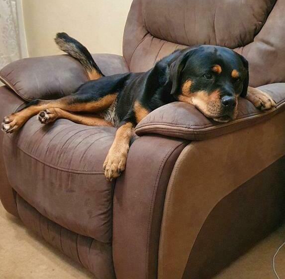 مبيت وإفطار Victorian Townhouse