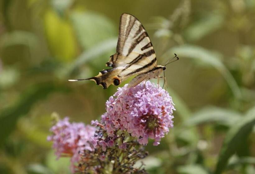 민박 Villa Foia Vella Adults Only