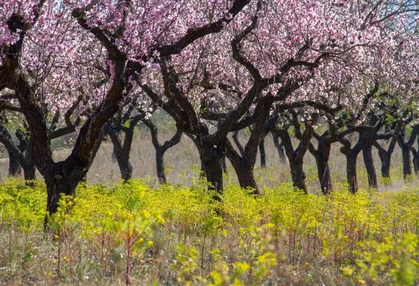 Aamiaismajoitus (B&B) Villa Foia Vella   Adults Only