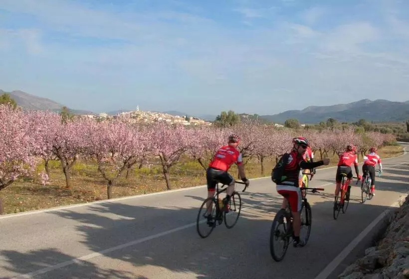 Aamiaismajoitus (B&B) Villa Foia Vella   Adults Only