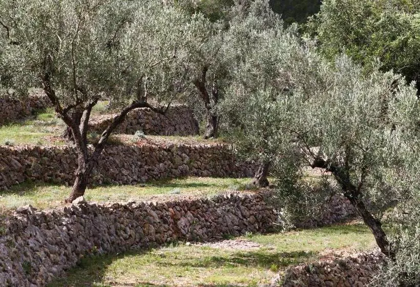 Aamiaismajoitus (B&B) Villa Foia Vella   Adults Only