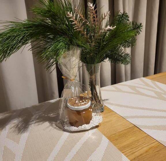 Jono Kalnelis Apartments