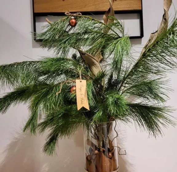 Jono Kalnelis Apartments