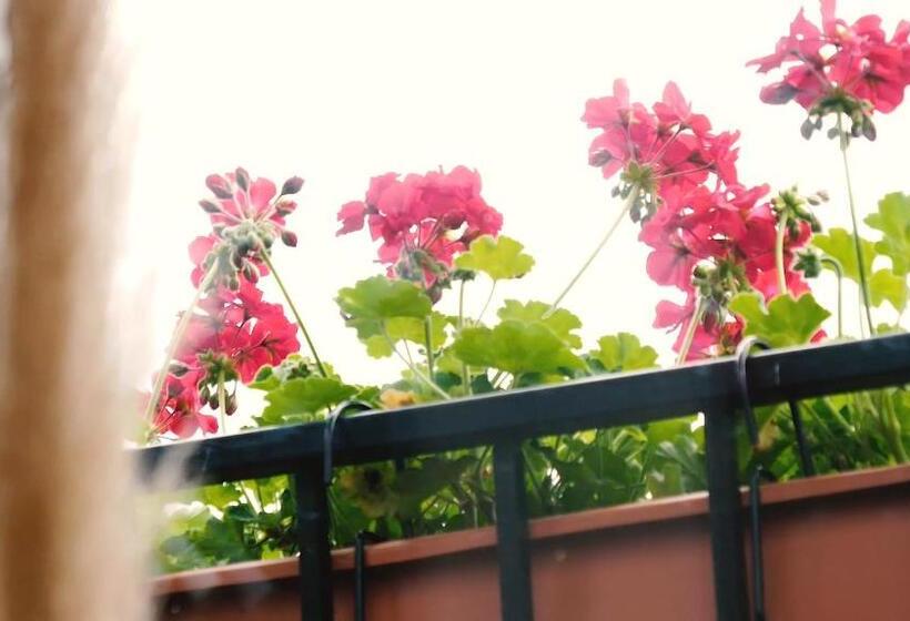 Jono Kalnelis Apartments