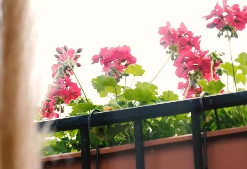 Jono Kalnelis Apartments