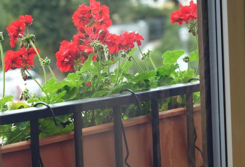 Jono Kalnelis Apartments