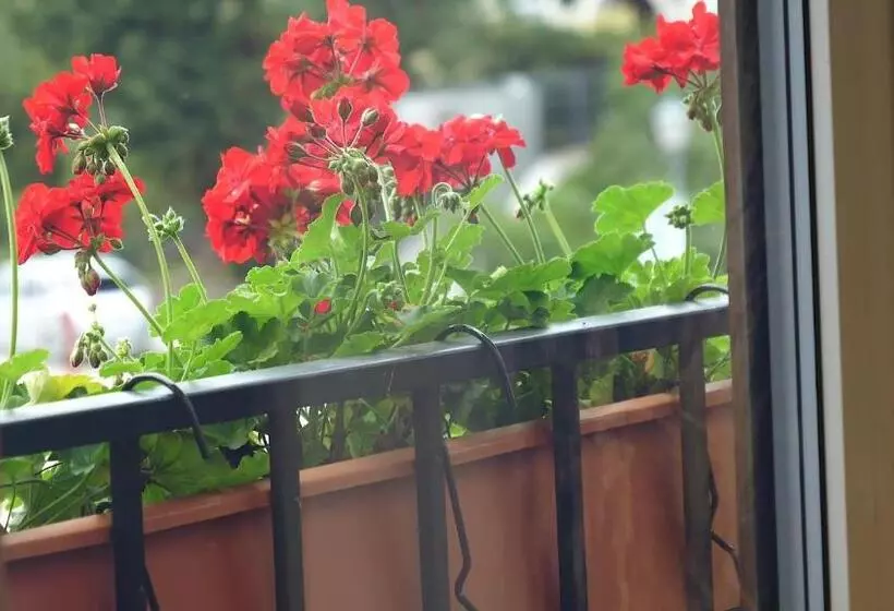 Jono Kalnelis Apartments