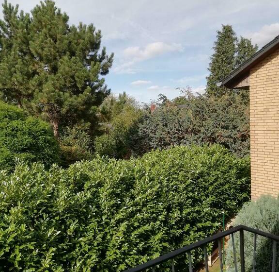 Пансион Domizil & Dümmer