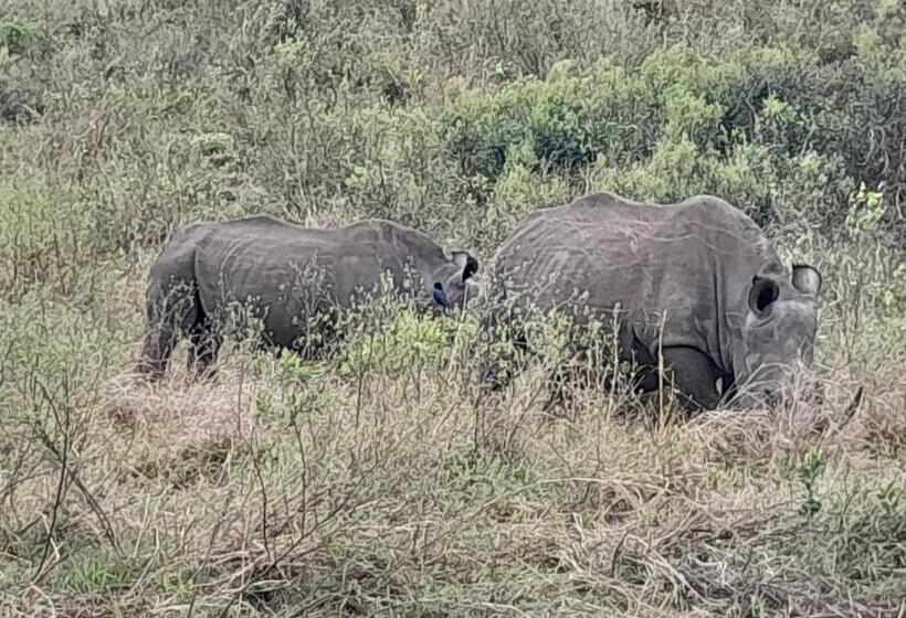 펜션 Hluhluwe Gate Safari Camp