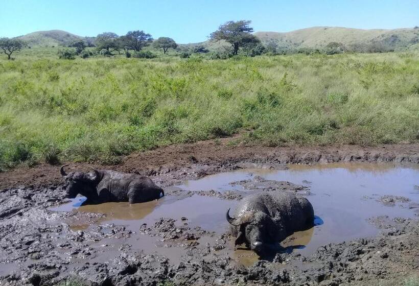 펜션 Hluhluwe Gate Safari Camp
