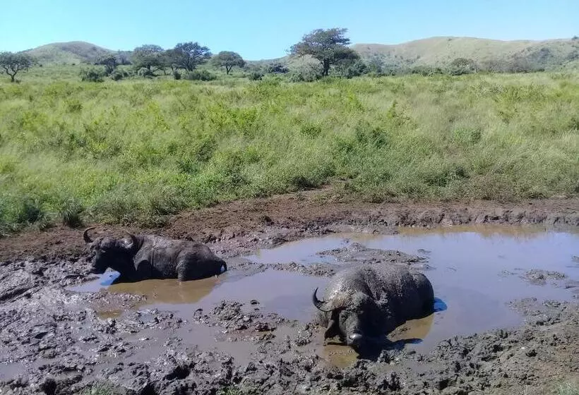 ペンション Hluhluwe Gate Safari Camp