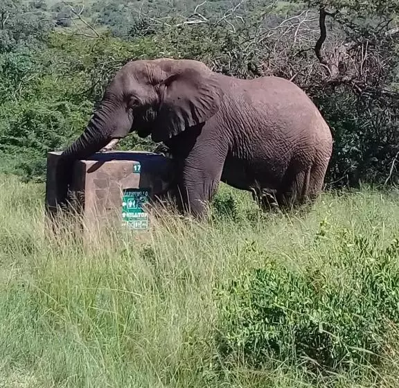 ペンション Hluhluwe Gate Safari Camp