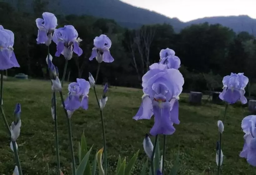 Majatalo La Casa Di Elena