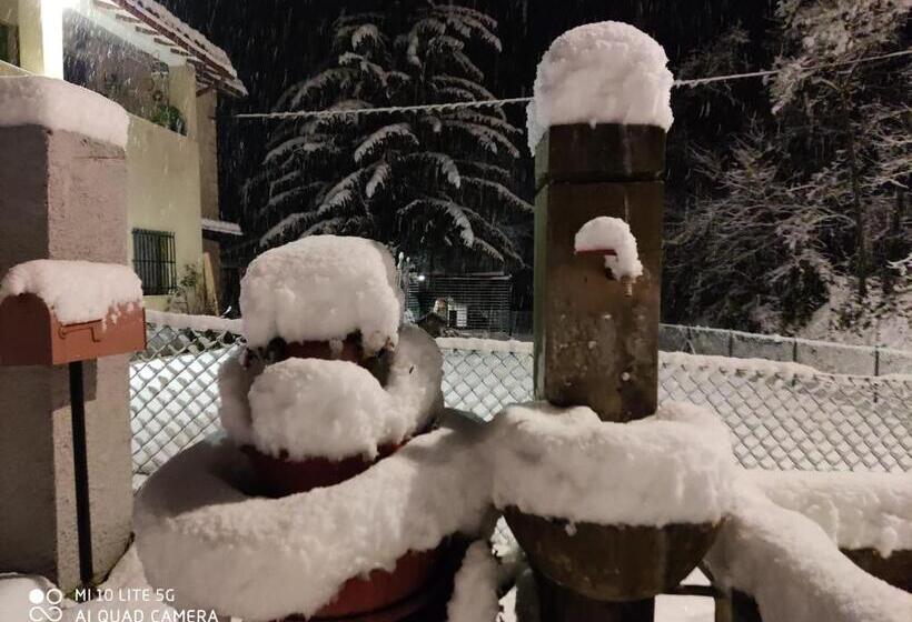 بنسيون La Casa Di Elena
