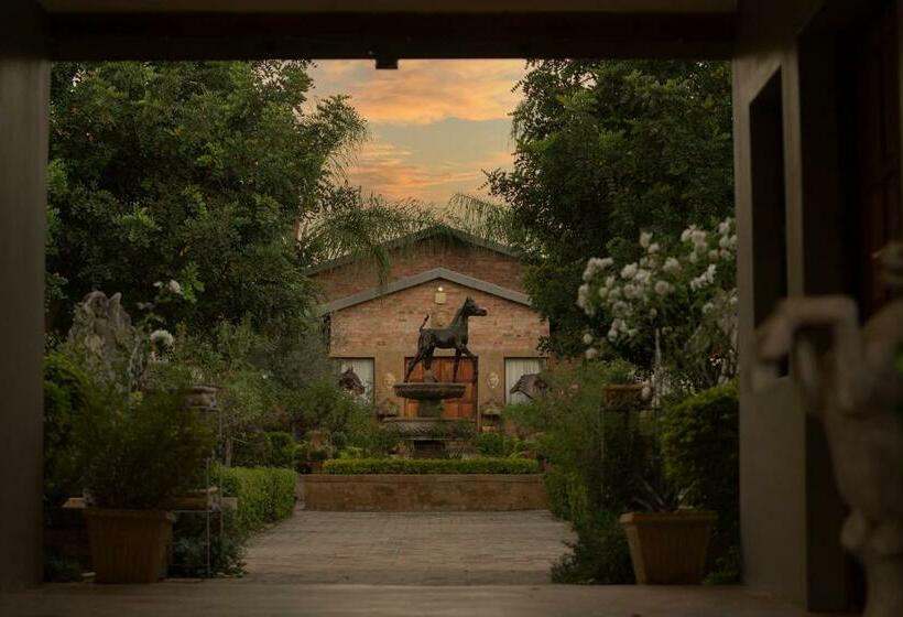 بنسيون Maretlwane Guesthouse