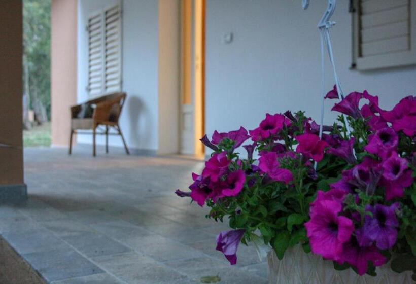 تختخواب و صبحانه Domo De Folas