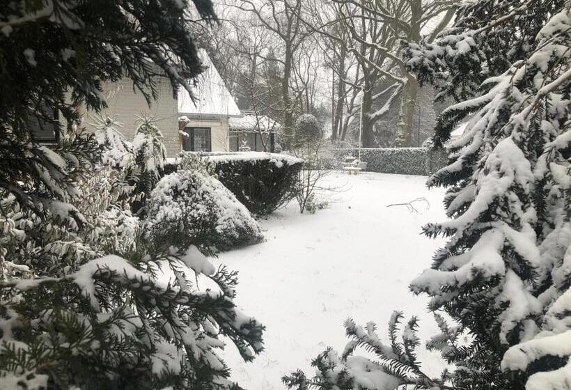 צימר Modern Palace Emma Staete