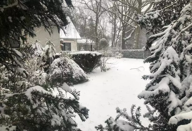 Aamiaismajoitus (B&B) Modern Palace Emma Staete