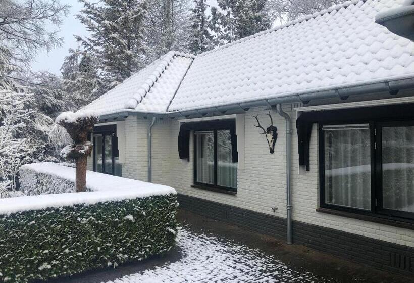 צימר Modern Palace Emma Staete