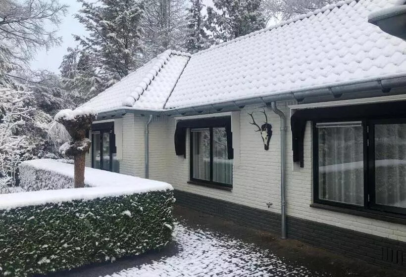 Aamiaismajoitus (B&B) Modern Palace Emma Staete