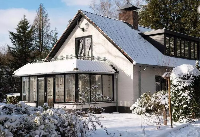 Aamiaismajoitus (B&B) Modern Palace Emma Staete