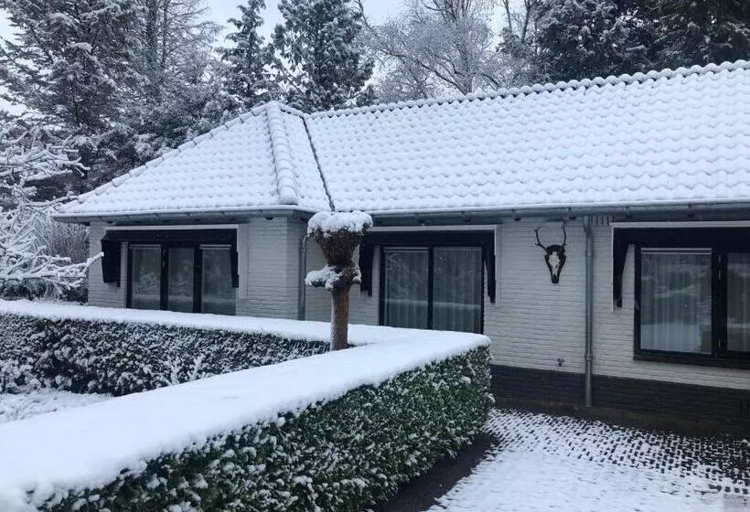 Aamiaismajoitus (B&B) Modern Palace Emma Staete