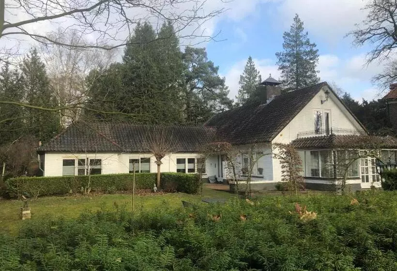 Aamiaismajoitus (B&B) Modern Palace Emma Staete