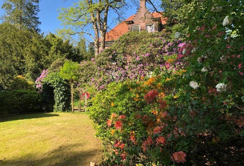 צימר Modern Palace Emma Staete