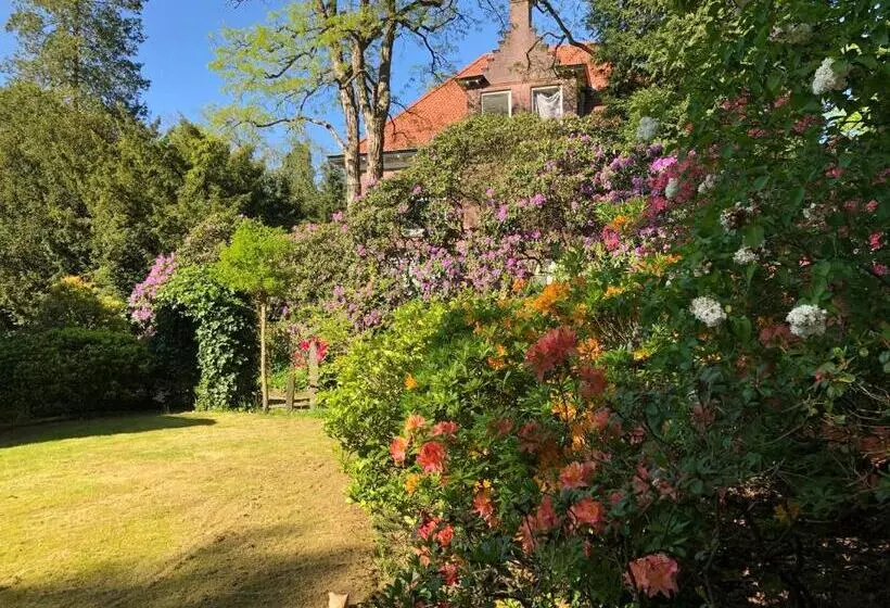 Aamiaismajoitus (B&B) Modern Palace Emma Staete