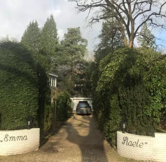 Aamiaismajoitus (B&B) Modern Palace Emma Staete