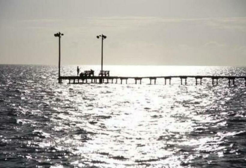 مبيت وإفطار The Peaceful Pelican Llc