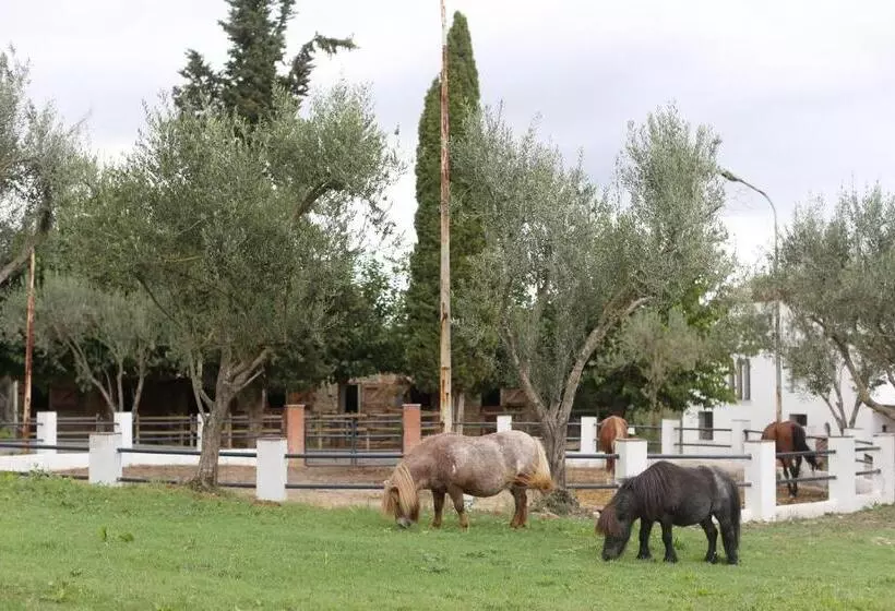 Masia Can Rovira   Esc1852