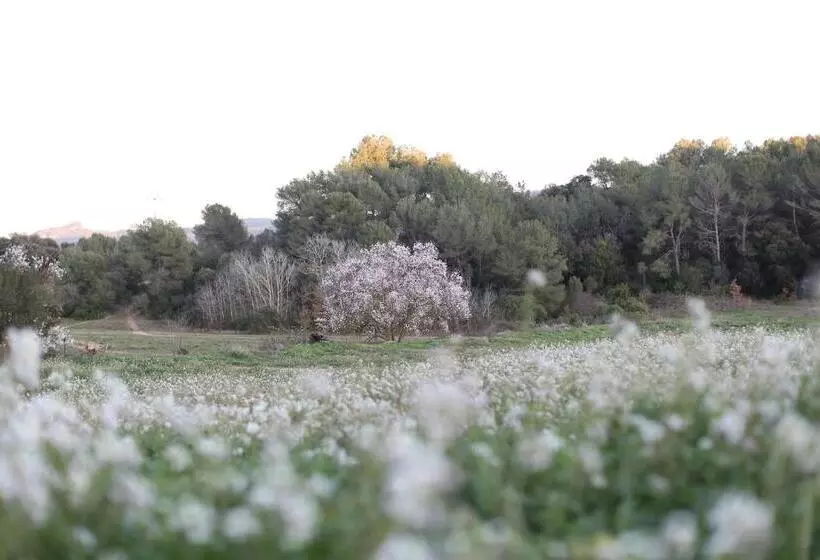 Masia Can Rovira   Esc1852