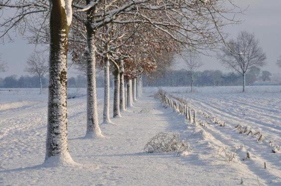 پانسیون Côté Terrasse