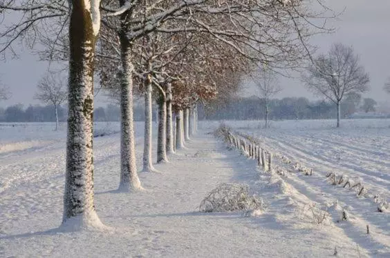Majatalo Côté Terrasse