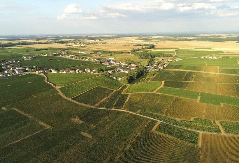 بنسيون La Pause Nuitonne