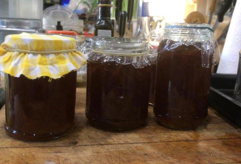 The Old Forge Bed And Breakfast