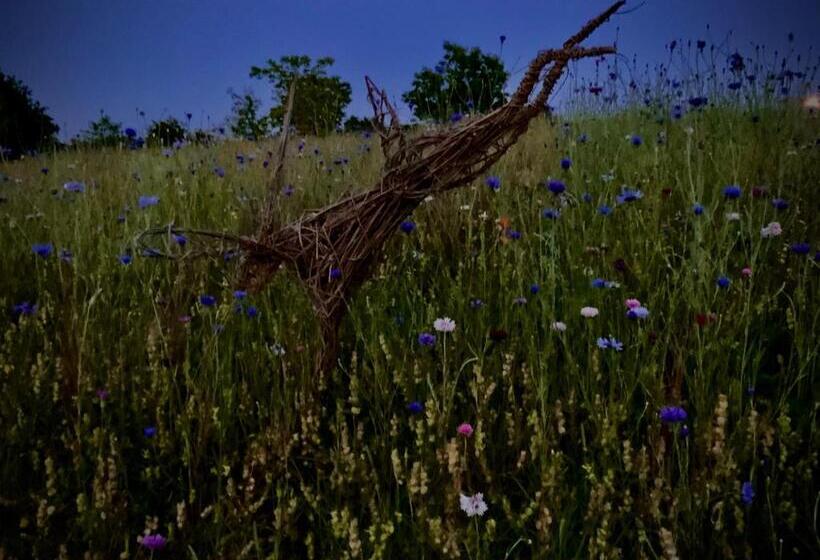 The Old Forge Bed And Breakfast