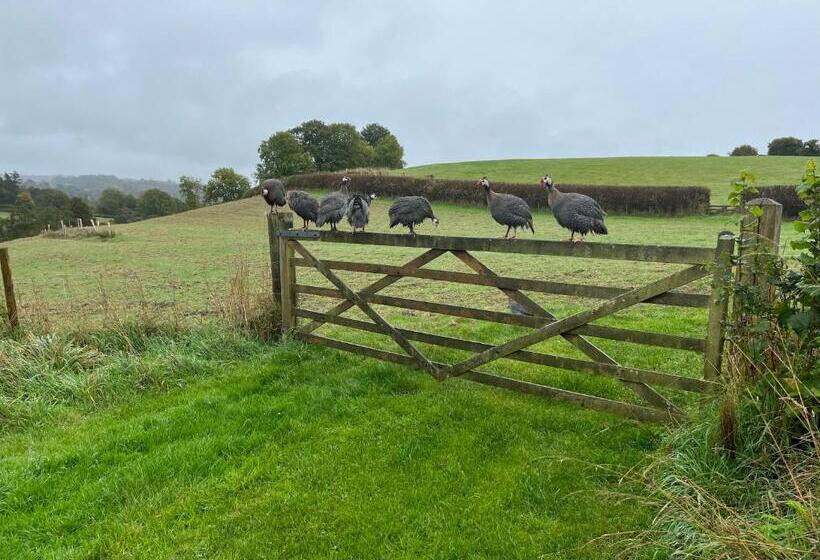 The Old Forge Bed And Breakfast