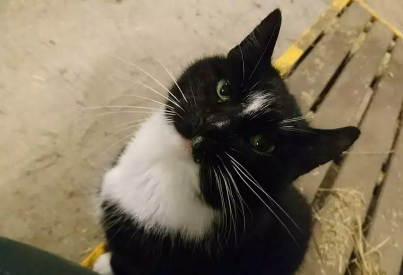 Aamiaismajoitus (B&B) Bo I Remmarlöv