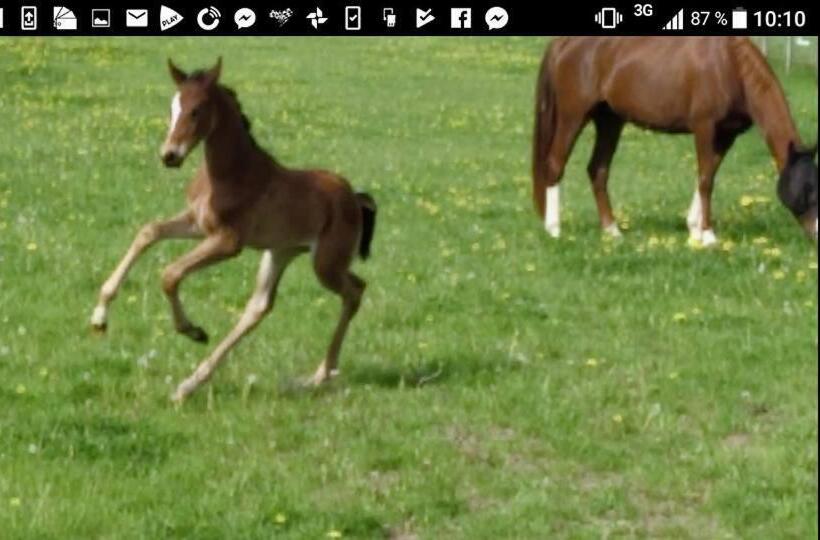 Bed and Breakfast Bo I Remmarlöv